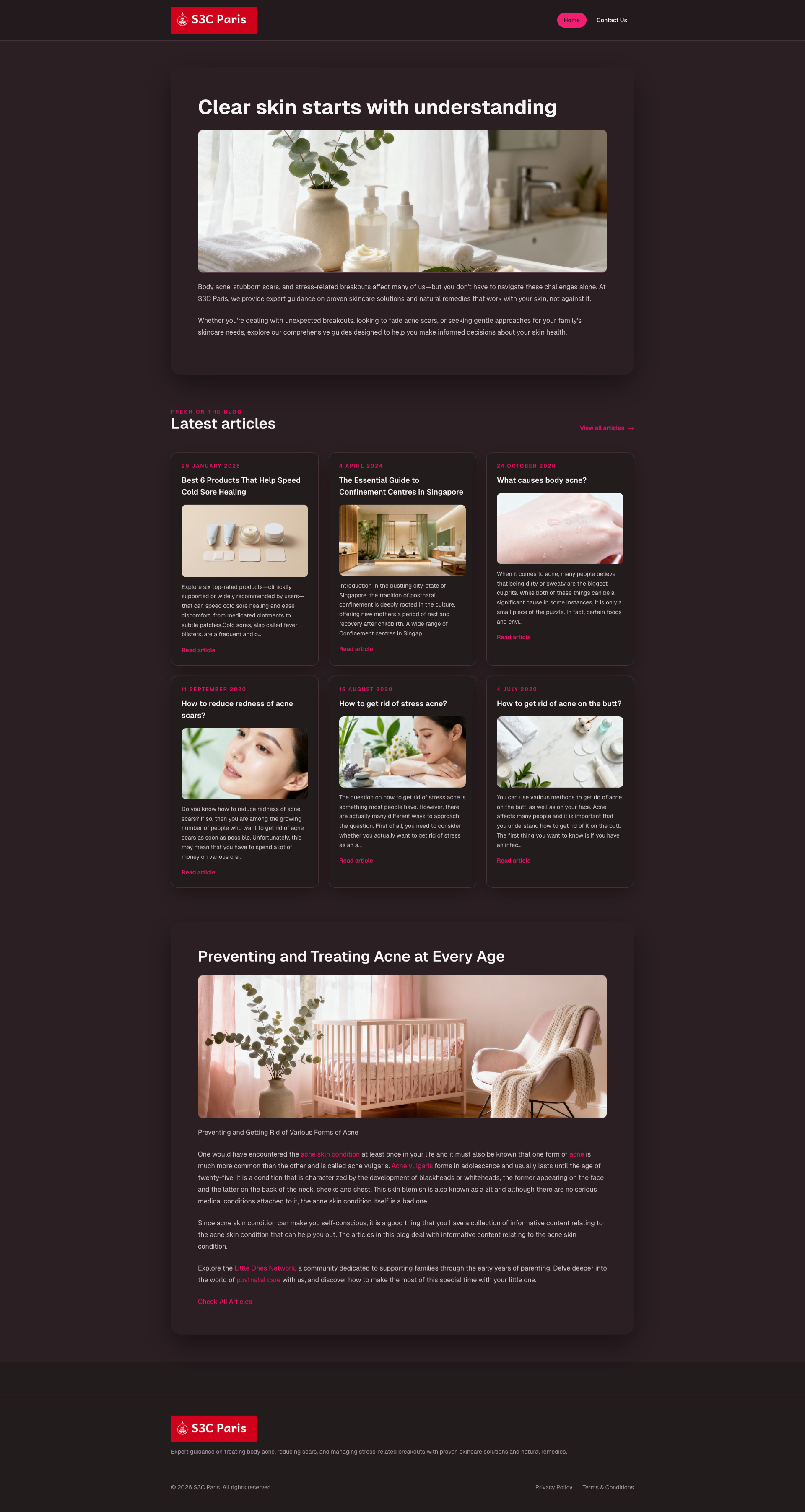 WordPress to Next.js CLI Screenshot 1
