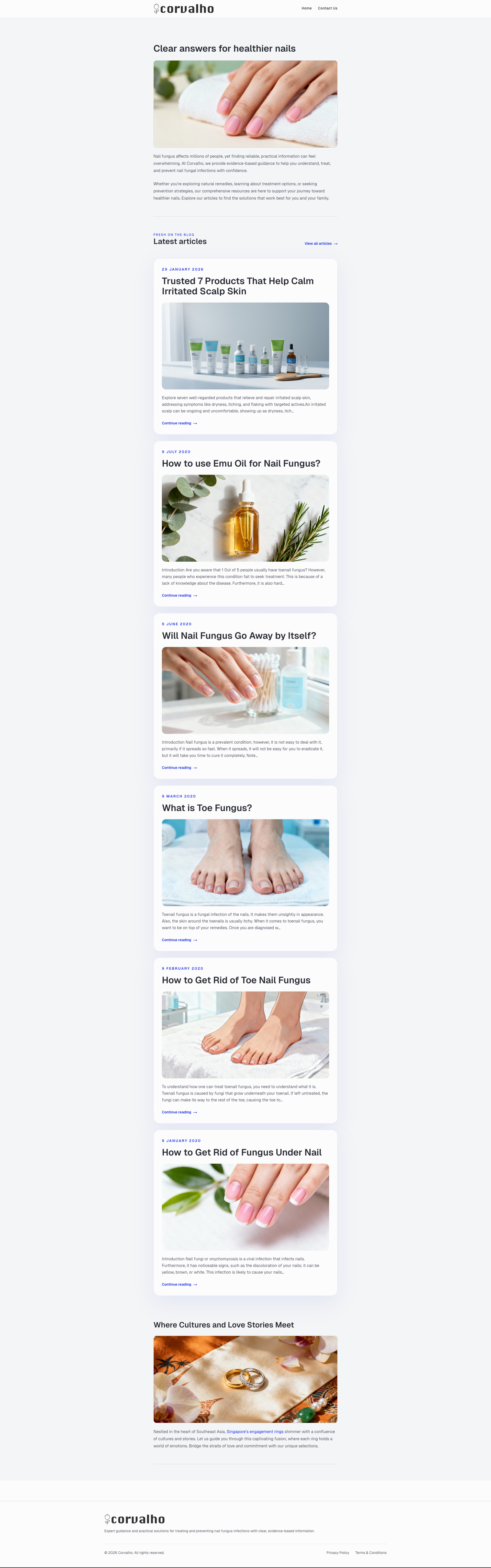 WordPress to Next.js CLI Screenshot 2