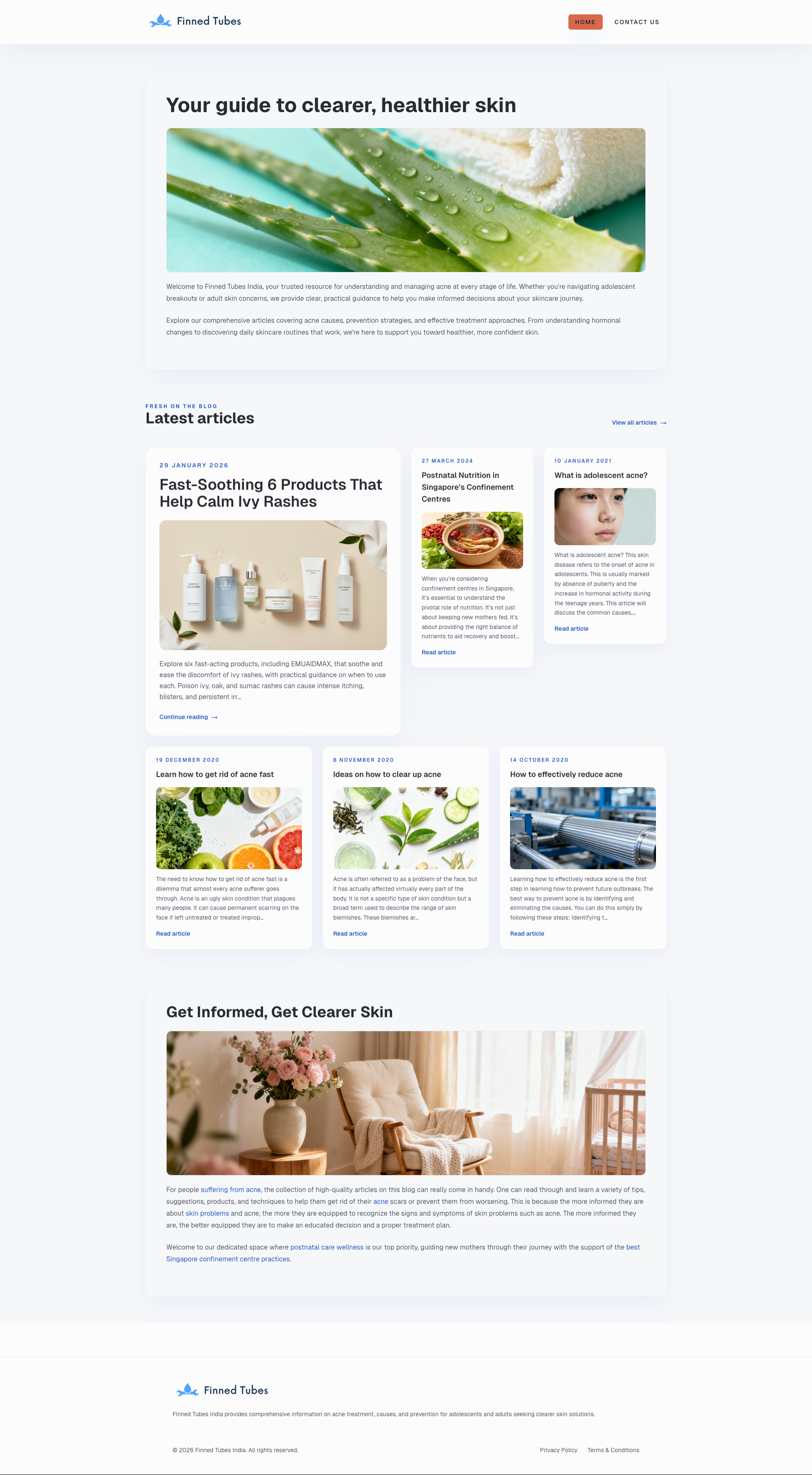 WordPress to Next.js CLI Screenshot 3